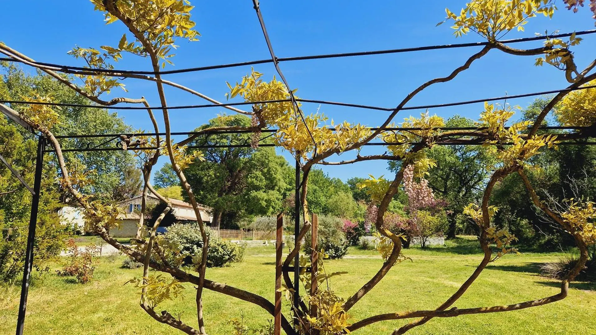 Bed & Breakfast Mas Du Rollier Chambres D'Hotes Eygalieres  France